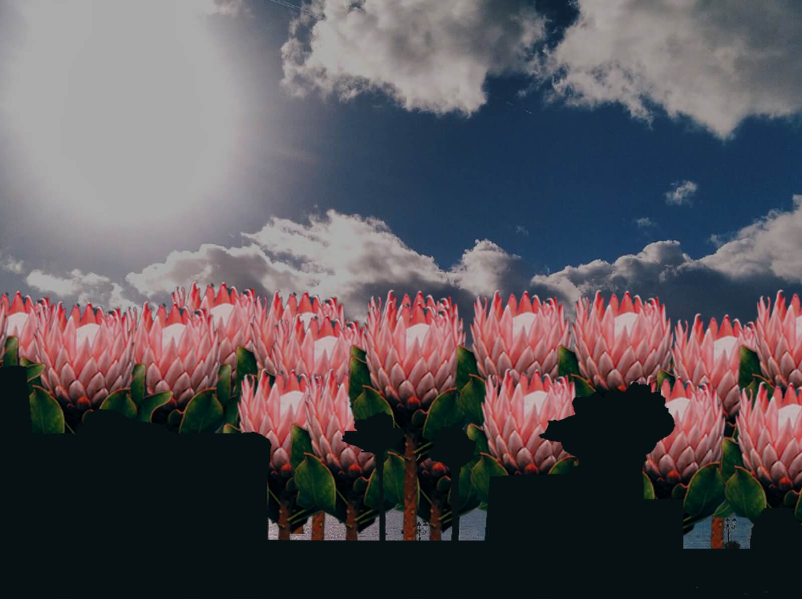 Graphic Design Trends For 2023 8